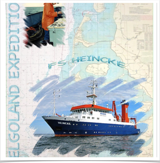 Participation in oceanic research expeditions onboard RV FRIEDRICH HEINCKE.